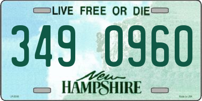 NH license plate 3490960