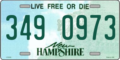 NH license plate 3490973