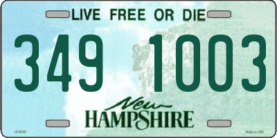 NH license plate 3491003