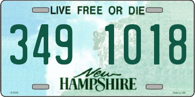 NH license plate 3491018