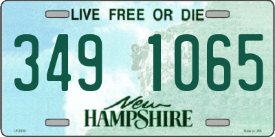 NH license plate 3491065