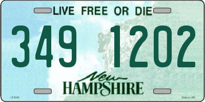 NH license plate 3491202