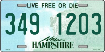 NH license plate 3491203