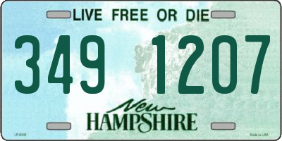 NH license plate 3491207