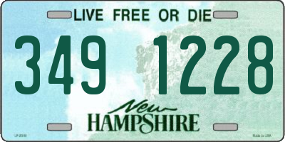 NH license plate 3491228