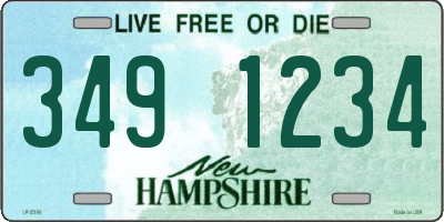 NH license plate 3491234