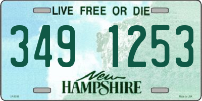 NH license plate 3491253