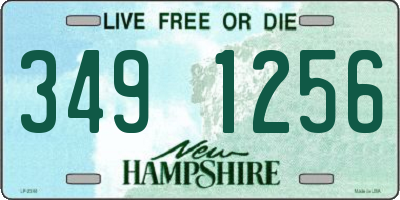 NH license plate 3491256