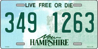 NH license plate 3491263