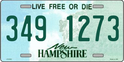 NH license plate 3491273