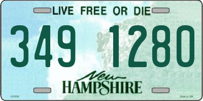 NH license plate 3491280