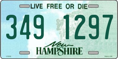 NH license plate 3491297