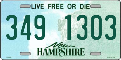 NH license plate 3491303
