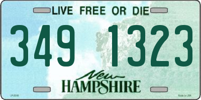 NH license plate 3491323