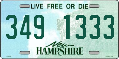 NH license plate 3491333