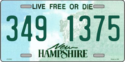 NH license plate 3491375