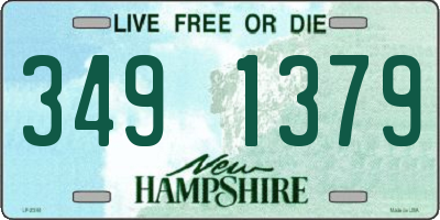 NH license plate 3491379