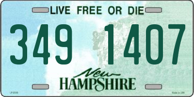 NH license plate 3491407