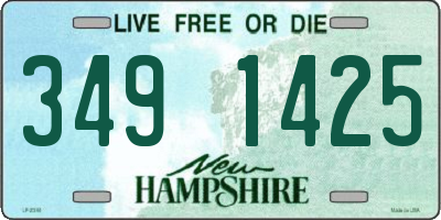 NH license plate 3491425