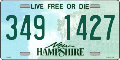 NH license plate 3491427