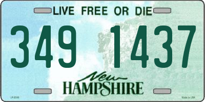 NH license plate 3491437