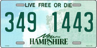 NH license plate 3491443
