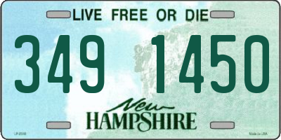 NH license plate 3491450