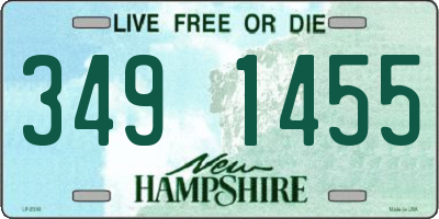 NH license plate 3491455