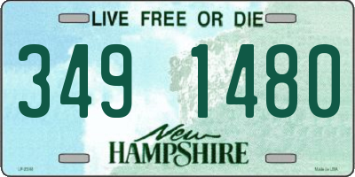 NH license plate 3491480