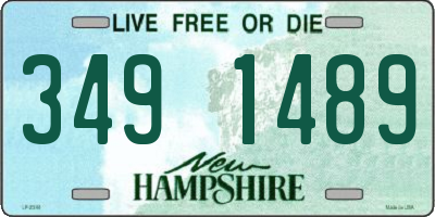 NH license plate 3491489
