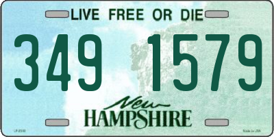 NH license plate 3491579