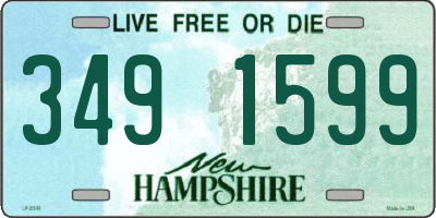 NH license plate 3491599