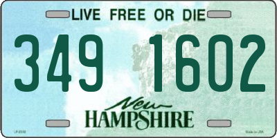 NH license plate 3491602