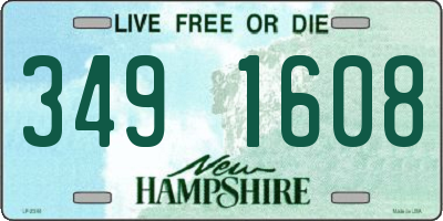 NH license plate 3491608