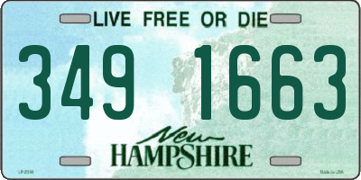 NH license plate 3491663