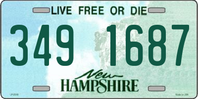 NH license plate 3491687