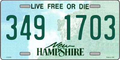NH license plate 3491703