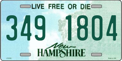 NH license plate 3491804
