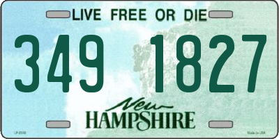 NH license plate 3491827