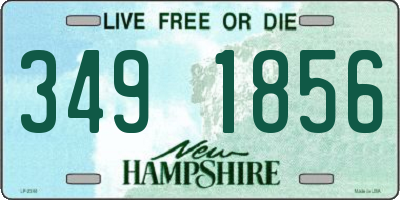 NH license plate 3491856