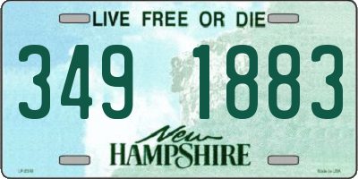 NH license plate 3491883