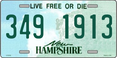 NH license plate 3491913