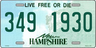 NH license plate 3491930