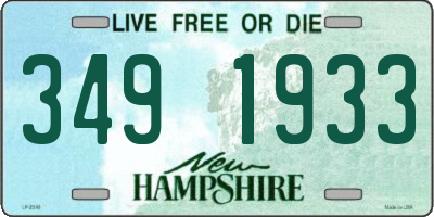 NH license plate 3491933