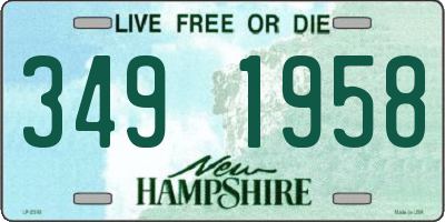 NH license plate 3491958