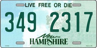 NH license plate 3492317