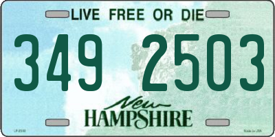 NH license plate 3492503