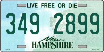 NH license plate 3492899