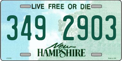 NH license plate 3492903
