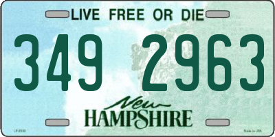 NH license plate 3492963